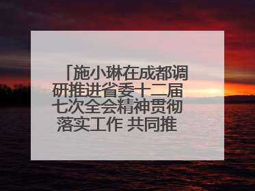 施小琳在成都调研推进省委十二届七次全会精神贯彻落实工作 共同推动文旅深度融合高质量发展 加快打造支柱产业民生产业幸福产业
