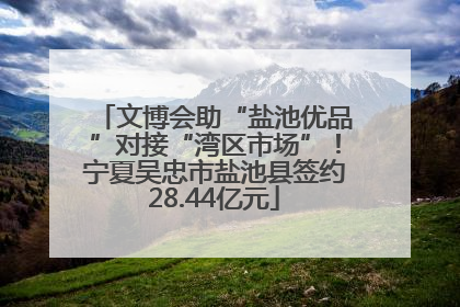 文博会助“盐池优品”对接“湾区市场”！宁夏吴忠市盐池县签约28.44亿元