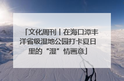 文化周刊丨在海口潭丰洋省级湿地公园打卡夏日里的“湿”情画意