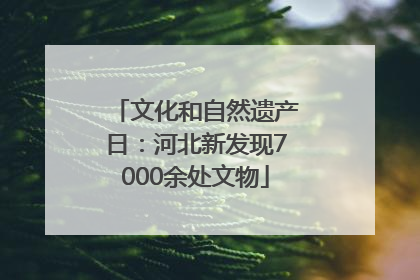 文化和自然遗产日：河北新发现7000余处文物