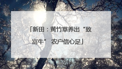 新田：黄竹草养出“致富牛” 农户信心足