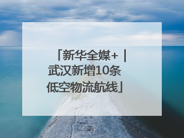 新华全媒+｜武汉新增10条低空物流航线