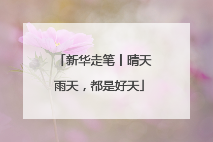 新华走笔丨晴天雨天，都是好天