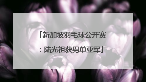 新加坡羽毛球公开赛：陆光祖获男单亚军