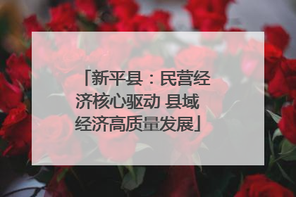新平县：民营经济核心驱动 县域经济高质量发展
