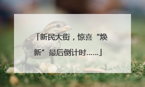 新民大街，惊喜“焕新”最后倒计时……