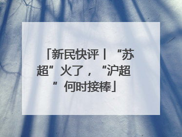 新民快评丨“苏超”火了，“沪超”何时接棒