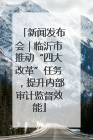 新闻发布会｜临沂市推动“四大改革”任务，提升内部审计监督效能
