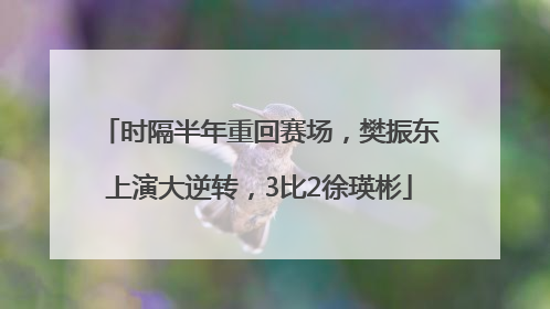 时隔半年重回赛场，樊振东上演大逆转，3比2徐瑛彬