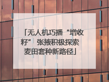 无人机巧播“增收籽” 张掖积极探索麦田套种新路径