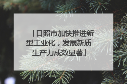 日照市加快推进新型工业化，发展新质生产力成效显著