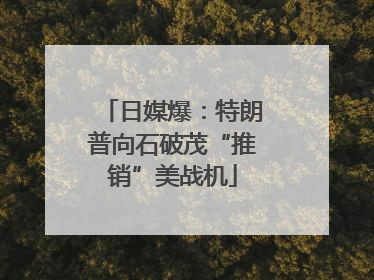 日媒爆：特朗普向石破茂“推销”美战机