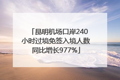 昆明机场口岸240小时过境免签入境人数同比增长977%