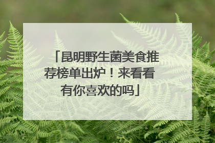 昆明野生菌美食推荐榜单出炉！来看看有你喜欢的吗