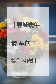 春城端午情 军营“粽”动员