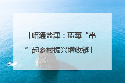 昭通盐津：蓝莓“串”起乡村振兴增收链