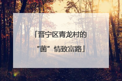 晋宁区青龙村的“菌”情致富路