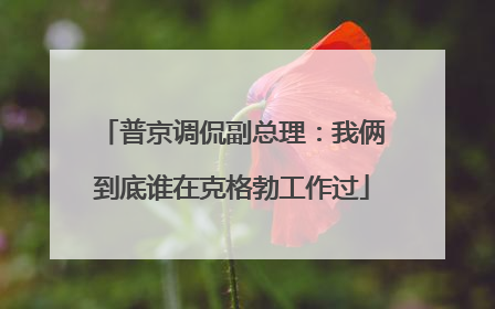 普京调侃副总理：我俩到底谁在克格勃工作过