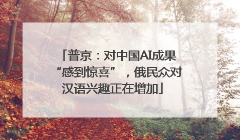 普京：对中国AI成果“感到惊喜”，俄民众对汉语兴趣正在增加
