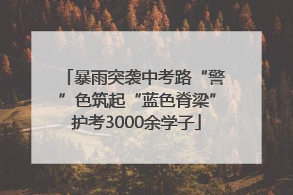 暴雨突袭中考路“警”色筑起“蓝色脊梁”护考3000余学子