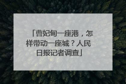 曹妃甸一座港，怎样带动一座城？人民日报记者调查