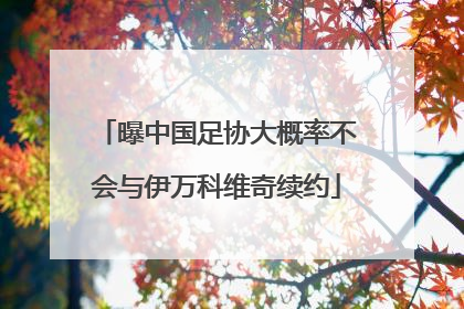 曝中国足协大概率不会与伊万科维奇续约