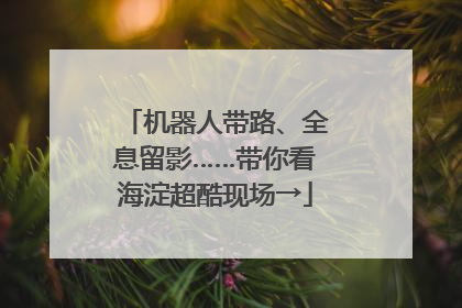 机器人带路、全息留影……带你看海淀超酷现场→