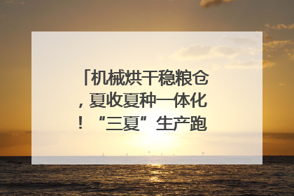 机械烘干稳粮仓，夏收夏种一体化！“三夏”生产跑出加速度｜麦报