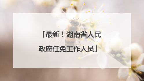 最新！湖南省人民政府任免工作人员