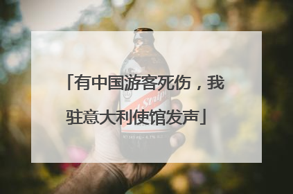 有中国游客死伤，我驻意大利使馆发声