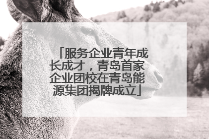 服务企业青年成长成才，青岛首家企业团校在青岛能源集团揭牌成立