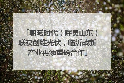 朝曦时代（曜灵山东）联袂创维光伏，临沂战新产业再添重磅合作