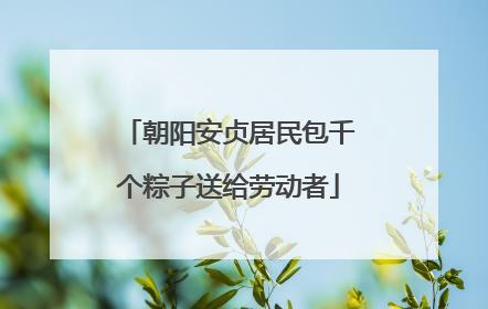 朝阳安贞居民包千个粽子送给劳动者