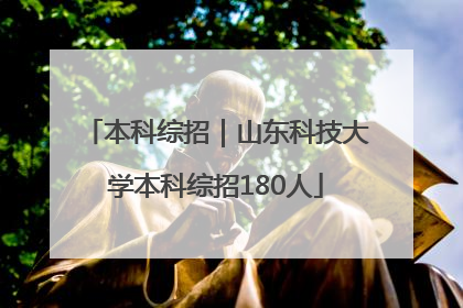 本科综招｜山东科技大学本科综招180人