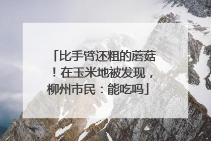 比手臂还粗的蘑菇！在玉米地被发现，柳州市民：能吃吗