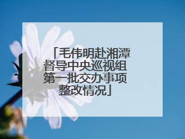 毛伟明赴湘潭督导中央巡视组第一批交办事项整改情况