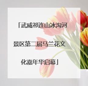 武威祁连山冰沟河景区第二届马兰花文化嘉年华启幕