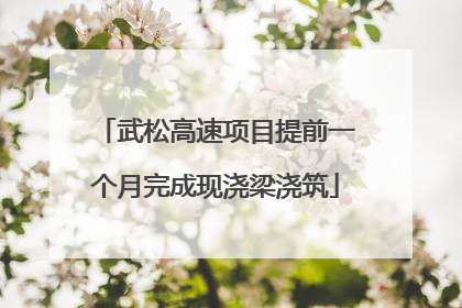 武松高速项目提前一个月完成现浇梁浇筑