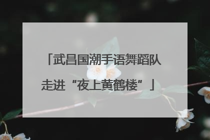 武昌国潮手语舞蹈队走进“夜上黄鹤楼”
