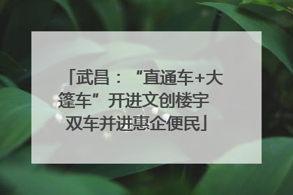 武昌：“直通车+大篷车”开进文创楼宇 双车并进惠企便民