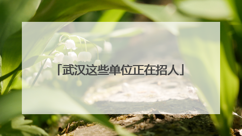 武汉这些单位正在招人