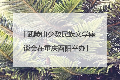 武陵山少数民族文学座谈会在重庆酉阳举办