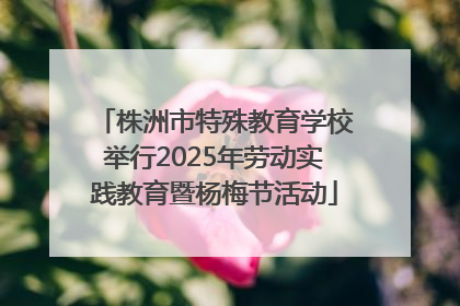 株洲市特殊教育学校举行2025年劳动实践教育暨杨梅节活动