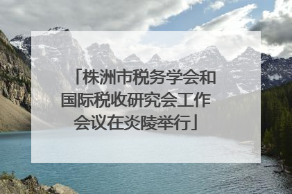 株洲市税务学会和国际税收研究会工作会议在炎陵举行