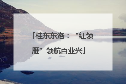 桂东东洛：“红领雁”领航百业兴