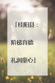 桂阳县：阶梯育德 礼润童心