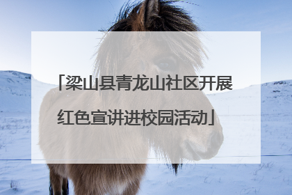 梁山县青龙山社区开展红色宣讲进校园活动