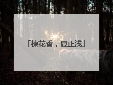 楝花香，夏正浅