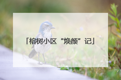 榕树小区“焕颜”记