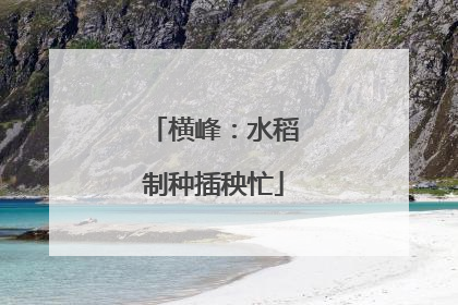 横峰：水稻制种插秧忙